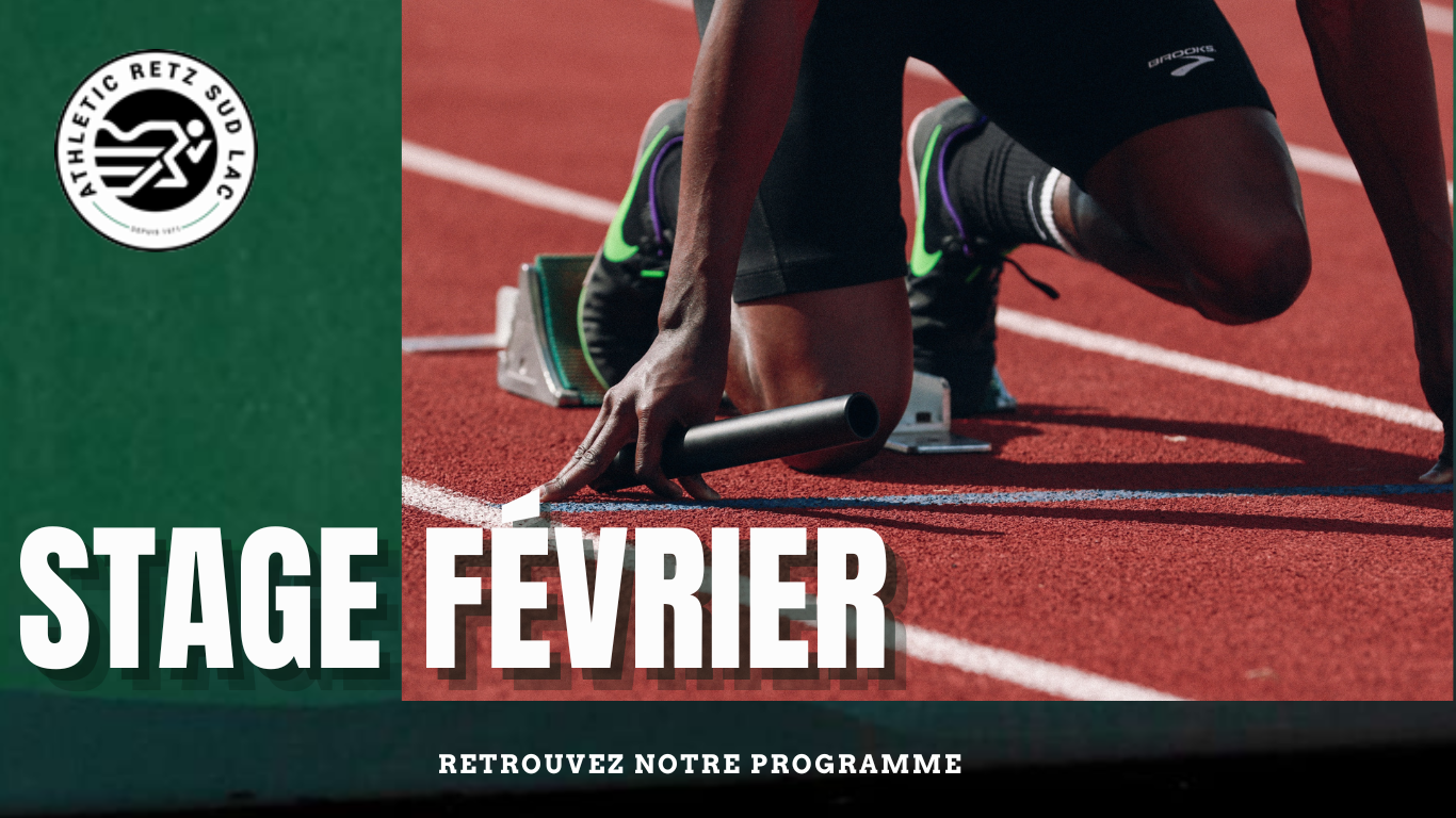 Stage éveils poussins hiver 2026