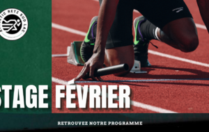 Stage éveils poussins hiver 2026