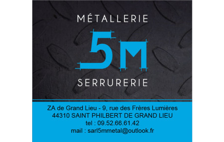 5 M